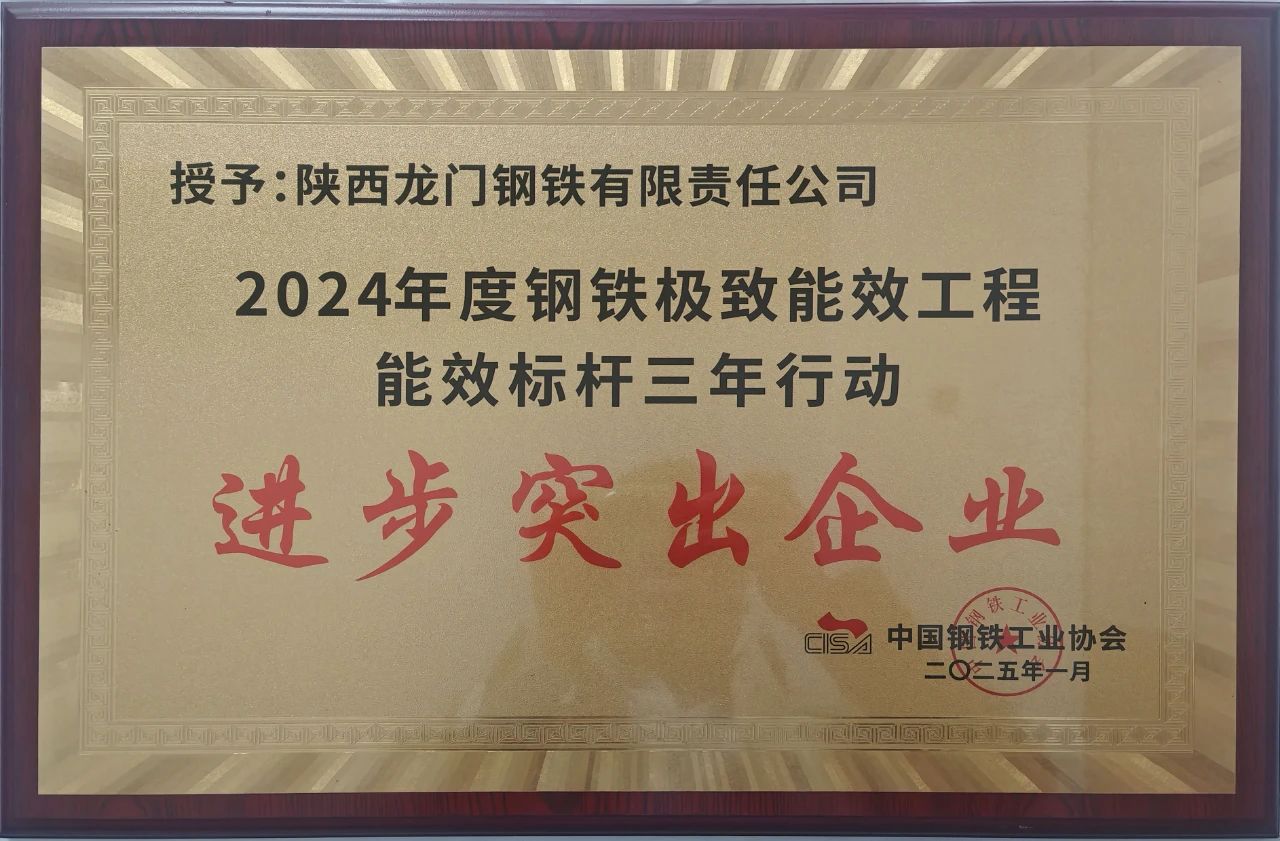 喜訊！龍鋼公司榮獲2024年度鋼鐵極致能效工程能效 標桿三年行動“進步突出企業”